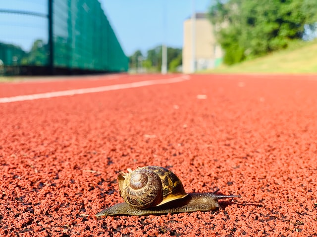 Don't be too ambitious when setting goals, but don't be too snaily either!