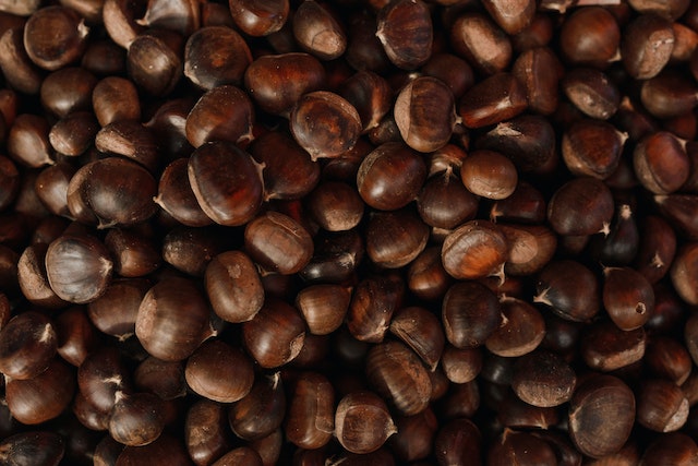 Kestenje (chestnuts)