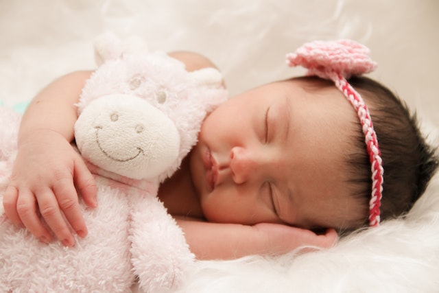 A baby girl sleeping while hugging her stuffed cow toy.