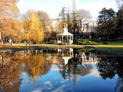 What to Visit in Novi Sad: Discover 7 Amazing Places 3 what to visit in novi sad danube park lake nature