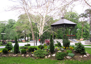 What to Visit in Vojvodina: Explore 7 Memorable Serbian Cities! 5 what to visit in vojvodina national garden pančevo greenery